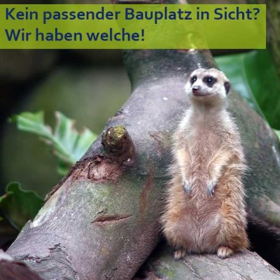 Miete zu hoch? Ab in die eigenen 4 Wände!
