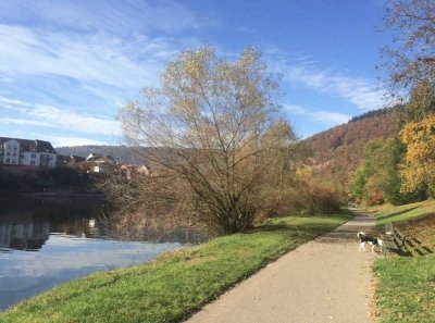 Schöne 2-Zi-Wohnung in Neckargemünd inkl. 15m² Balkon, EK, Stellplatz, HD 10min, Haustierfreundlich