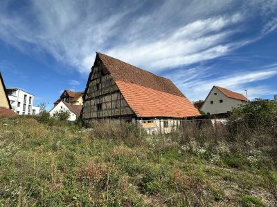 Denkmalgeschütztes Schafhaus mit großem Grundstück in Süßen