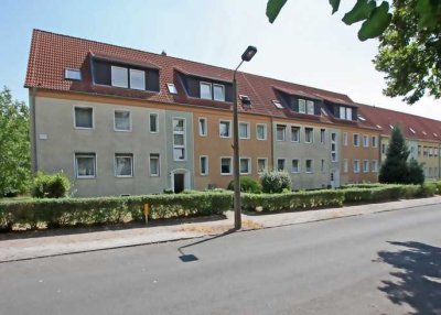 Frisch saniert - 2026 bezugsfertig- Wohnen im Seehäuser Weg