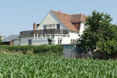 Sofortbezug möglich - Doppelhaushälfte mit Charme und Potential in Radebeul