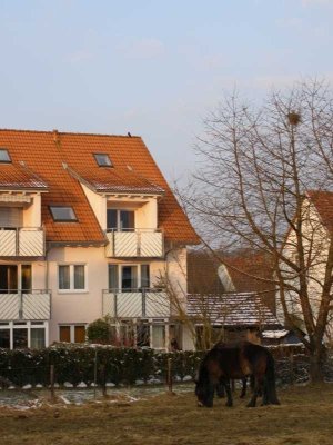 VON PRIVAT: Traumhafte, lichtdurchflutete 2-Zi.Maisonettewohnung, großer Balkon u. Stellplatz