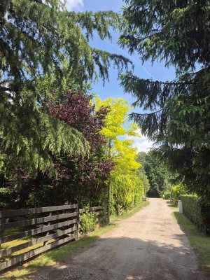 idyllisches Wochenendhaus unweit der Aller in der Südheide