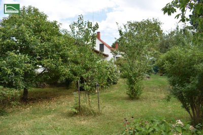 Ländliche Idylle im Burgenland: Charmantes Landhaus mit 4 Zimmern, 130 m², Garten, Terrasse, u.v.m.!