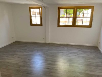 Stilvolle, vollständig renovierte 1-Raum-EG-Wohnung in Großwallstadt