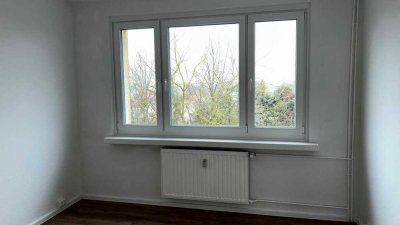 Familienträume werden  wahr! Toll sanierte Wohnung sofort bezugsfertig