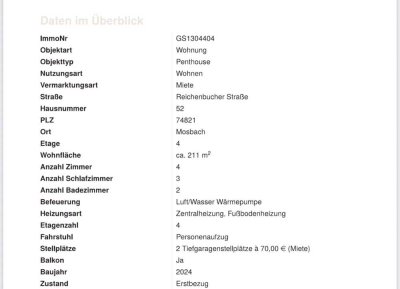 Luxuriöses 5-Zimmer Penthouse mit 211 m² in Mosbach