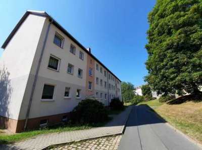 renovierte 2-Raum Wohnung mit Balkon