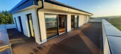 Neuwertige, luxuriöse 2 Zimmer Penthouse Wohnung(Dachterrasse)