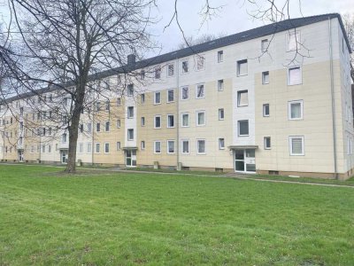 Gemütliche 2-Zimmer-Wohnung in Dortmund mit abwechslungsreicher Atmosphäre