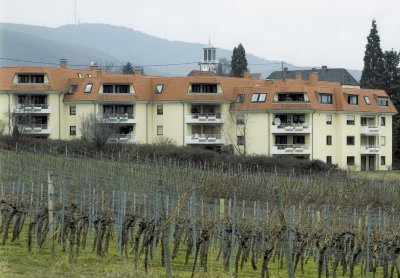 2 Zi, Küche, Bad, Keller im UG und ebenerdigem „Balkon“