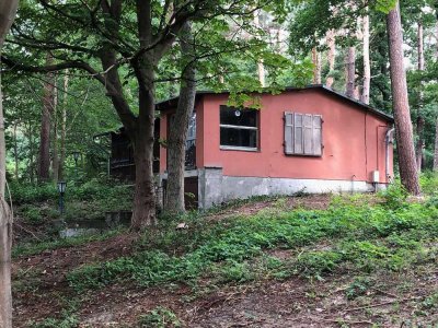 Ferienhaus im Dünenwald, sanierungsbedürftig