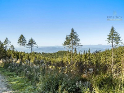 Naturnaher Wohntraum mit Bergblick, Terrasse &amp; großem Garten #Ferienhaus