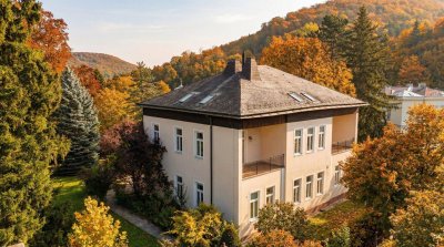 Historische Villa – Erstbezug nach Kernsanierung: Lifteinbau, Luftwärmepumpe, Wohnungen maßgeschneidert u. v. m.