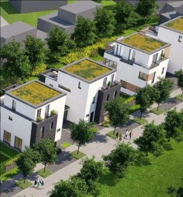 ***Zwei freist. Bauhausstil-Villen mit Staffelgeschoss u. Dachterrasse in Rheinlage - Himmelgeist***