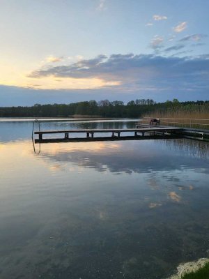Naturnahes kleines Haus (60m²) auf großem (1.489m²) Grundstück sucht neuen Eigentümer