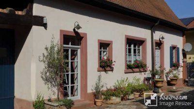 Historisches Winzeranwesen, möblierte Wohnung auf Zeit