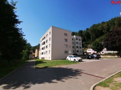 Saubere und modernisierte 3-Raum-Wohnung in grüner, zentrumsnaher Lage!