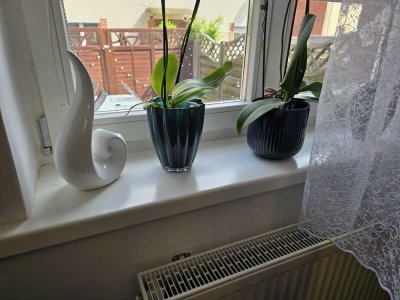 RESERVIERT! Gut renoviertes Reihenhaus in ruhige Lage zu verkaufen