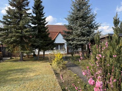 SPANNENDE GELEGENHEIT | Großzügiges Einfamilienhaus zum sanieren mit einem MEGA Pool für heiße Tage!