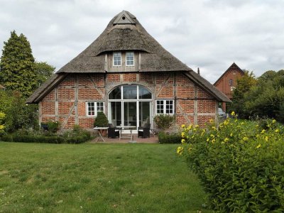Reetgedecktes Bauernhaus in Feldrandlage