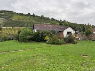 Große EG-Wohnung mit 50m² Terrasse und gorßem Garten