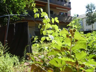 4 Zi. / bezugsfrei / gr. Garten / Südlage / Käuferprovisionsfrei / renovierungsbedürftig / Preis VB