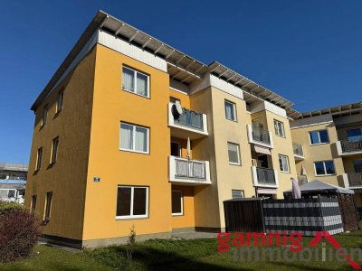 Sonnige Zweizimmer-Eckwohnung in Waidmannsdorf