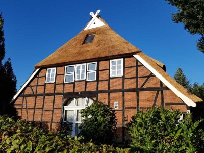 Wohnung im Reetdachhaus in Tönnhausen