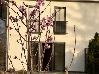 Jedes Zimmer mit bodentiefen Fenstern: Öko-Haus mit großem Garten ab sofort zu vermieten