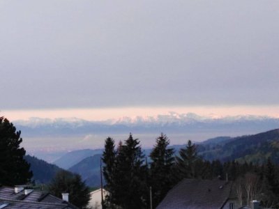 Moderne 2-Zimmer-Wohnung mit Balkon und Stellplatz in Hellmonsödt – Ihr neues Zuhause!