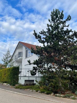 Wohnung und Einliegerwohnung, 2 Garagenplätzen und sehr viel Stauraum