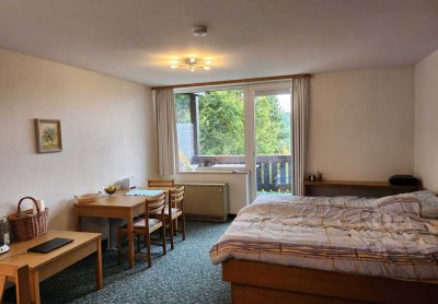 möblierte 1-Zimmer-Wohnung mit Balkon und Küchenzeile