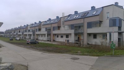 Bruck/Leitha | Geförderte Miete mit Kaufoption | Top A3 | EG mit Terrasse