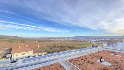 Elegante 3-Zimmer-Wohnung in Krems: Erstbezug mit Balkon und Fernblick!