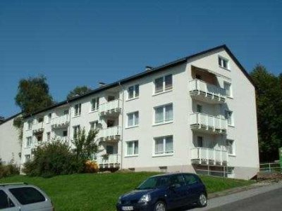Großzügige Wohnung frisch modernisiert!