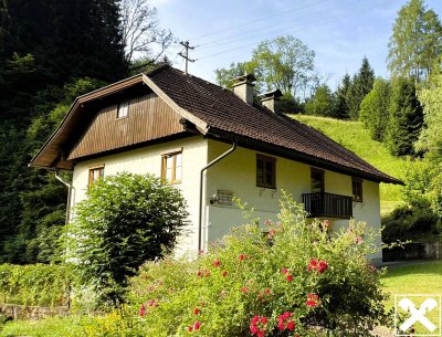 Kleine Landwirtschaft nahe dem Weissensee