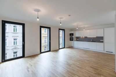 Traumwohnung nächst Kutschkermarkt