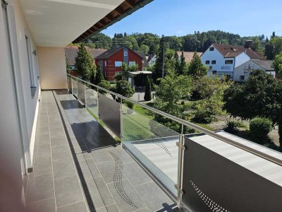 Sehr schöne renovierte 4-Zimmer-Wohnung mit gehobener Ausstattung und tollem Balkon in Holzheim