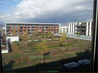 Wohnen im exkl. 2-Zimmer-Penthouse m. EBK, Parkett, Sonnenterrasse und Fernblick