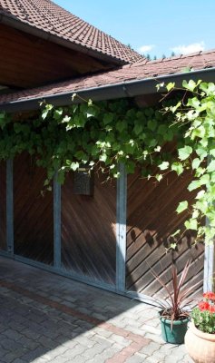 Großzügige 3 Zimmerwohnung im Grünen