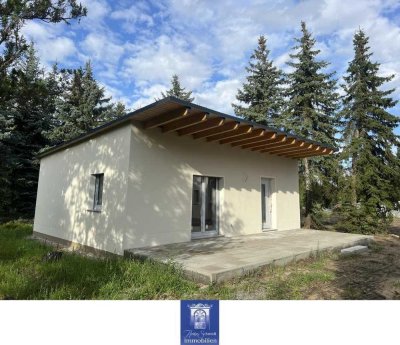 Bungalow im Grünen! Modern saniert, große Terrasse, traumhafter Garten! Erstbezug!
