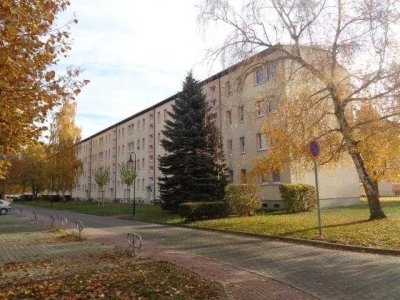 Gemütliche 1-Raumwohnung im Geiseltal
