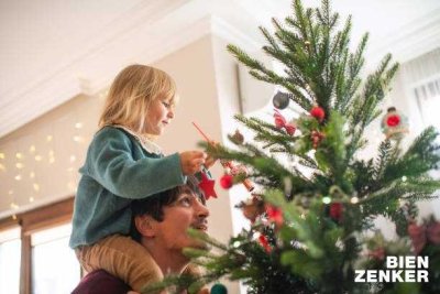 KFW Förderung nutzen -Effizientes EFH  inkl. PV+Speicher