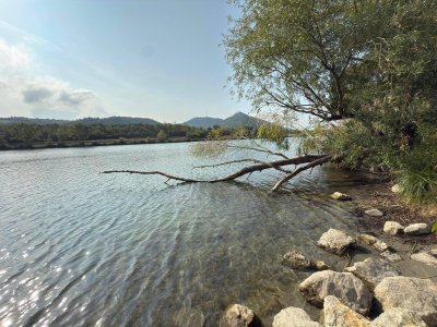 Elegantes Designhaus bei der Neuen Donau – Ruhe, Natur &amp; modernes Wohnen