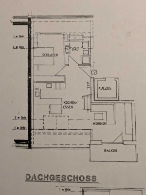 Lichtdurchflutete barrierefreie Dachgeschosswohnung ab November