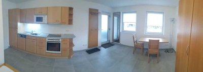 Neuwertige 1-Zimmer-Erdgeschosswohnung mit gehobener Innenausstattung in Flein
