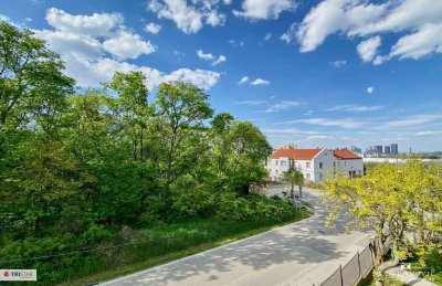++ RARITÄT + LAAER WALD / BÖHMISCHER PRATER + 204 m² EINFAMILIENHAUS auf 547 m² ECKGRUNDSTÜCK + RUHEOASE und PRIVATSPHÄRE mit WIEN-WEITBLICK + 1100 WIEN ++