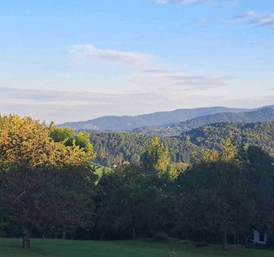 Hofstelle mit Bebauungsplan für einen 3 Spänner