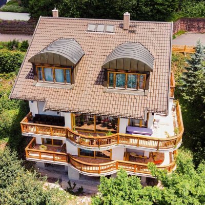 Der Panoramablick über Eberbach - Exklusives Einfamilienhaus mit Einliegerwohnung